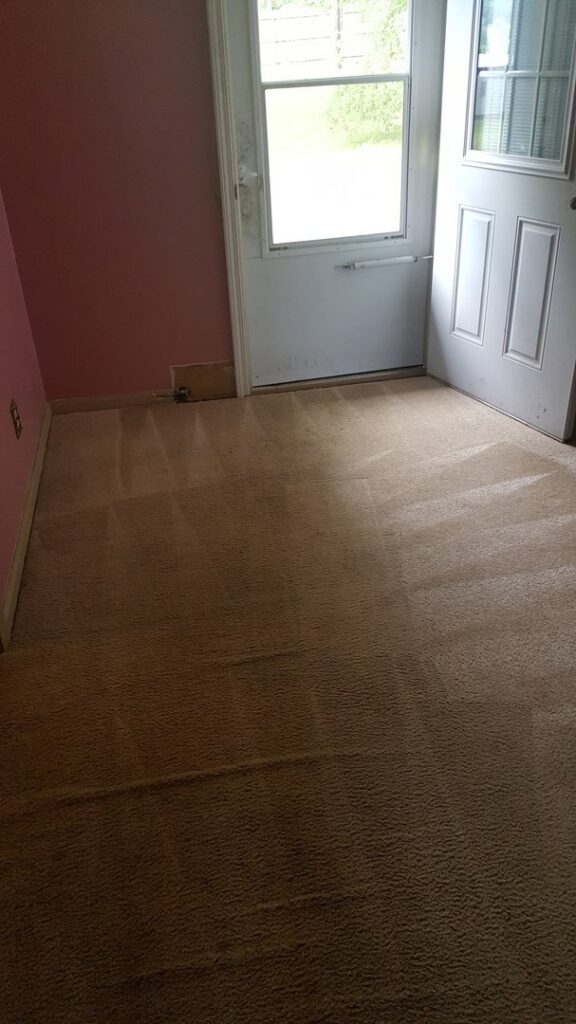 Professional carpet cleaning results with distinct lines in a hallway by ALL Services of NC in Greensboro, NC