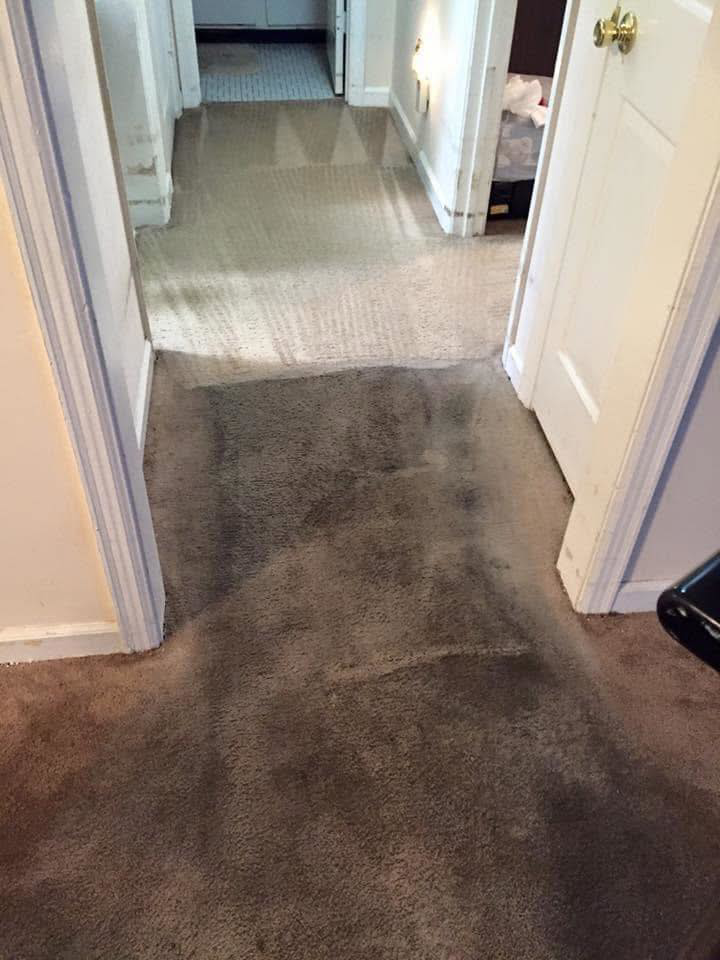 A before and after view of a carpeted hallway after professional cleaning by ISteam Carpet Care in Chattanooga, TN.