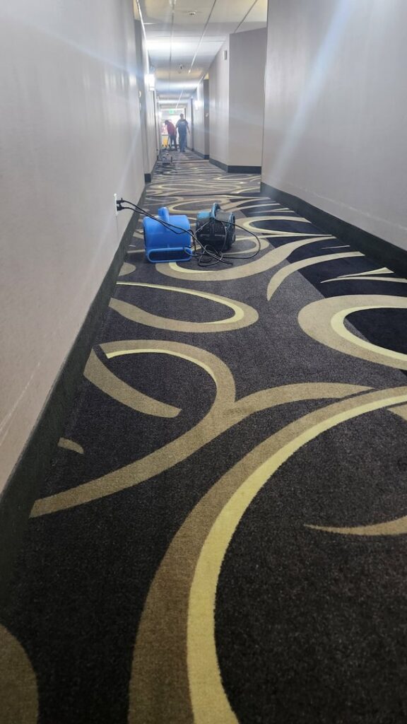 Professional carpet cleaning in a hotel hallway with equipment by InnaCircle in Greensboro, NC.