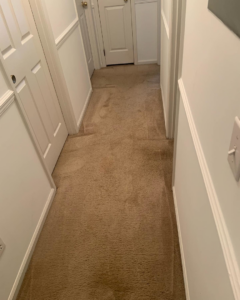Cleaned carpet in a residential hallway showing fresh cleaning lines by Holland's pressure washing and carpet cleaning LLC in Columbus, GA