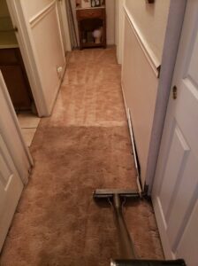Professional carpet cleaning in progress in a hallway, showing a clean path by JP Carpet & Tile Care in Sherman Oaks, CA.