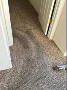 Freshly cleaned carpet in a hallway showing cleaning lines by Precise Carpet Care in Albuquerque, NM.