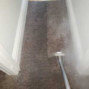 Professional carpet cleaning in a hallway using a steam extraction wand by Belles Carpet Cleaning & Janitorial Inc. in Harrisburg, PA.