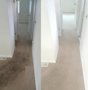 Before and after a complete carpet cleaning transformation in a hallway by 843Steamers in Summerville, SC.