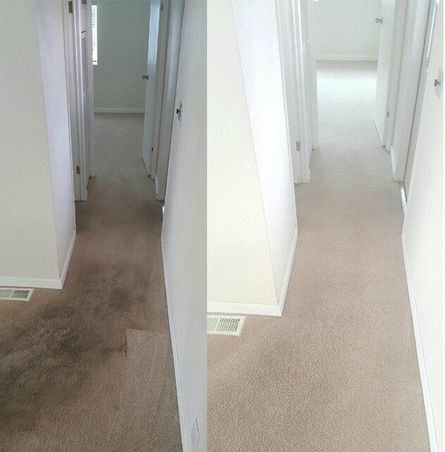 Before and after a complete carpet cleaning transformation in a hallway by 843Steamers in Summerville, SC.
