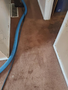 A blue carpet cleaning hose laid out in a hallway during a job by A Fresh Look Carpet Cleaning in West Jordan, UT.