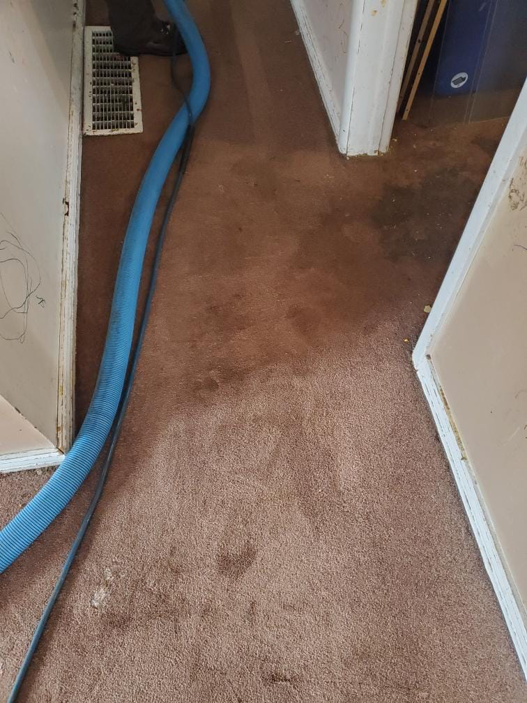 A blue carpet cleaning hose laid out in a hallway during a job by A Fresh Look Carpet Cleaning in West Jordan, UT.