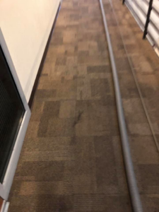 A carpet cleaning hose laid out in a commercial carpeted hallway by Molina's Carpet Cleaning in Las Vegas, NV.