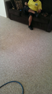 A carpet cleaning hose on a dirty carpet in a living room, ready for service by Nitro carpet and tile cleaning in Tampa, FL.