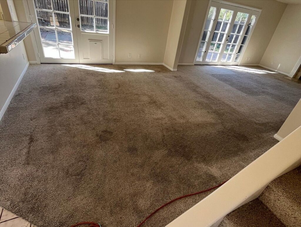 A red carpet cleaning hose laid out in a carpeted room, indicating work in progress by Orozco's Janitorial Services LLC in Escondido, CA.