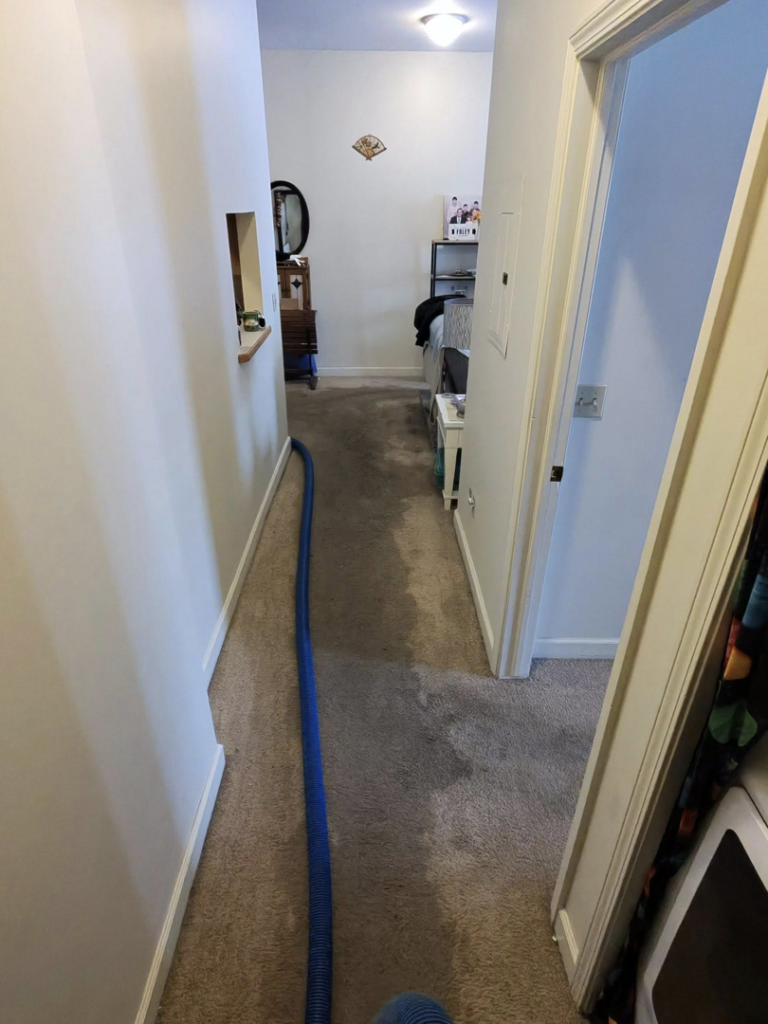 A blue carpet cleaning hose laid across a light-colored carpet in a hallway during a cleaning service by John's Pro-Clean Carpet Cleaning in Lansing, MI.