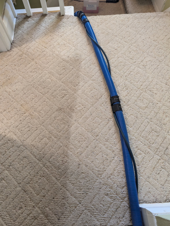 A blue carpet cleaning hose on a carpeted staircase, showing a professional carpet cleaning job by Green Planet Carpet Cleaning in Bloomington, MN.
