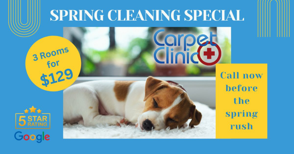 A carpet cleaning hose and protective mats laid out in a hallway for a job by St.Louis Carpet Clinic in St. Charles, MO.