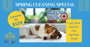 A carpet cleaning hose and protective mats laid out in a hallway for a job by St.Louis Carpet Clinic in St. Charles, MO.