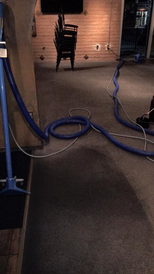 Carpet cleaning hoses and equipment laid out on a carpeted floor by Bills Carpet Cleaning in Lake Havasu City, AZ.