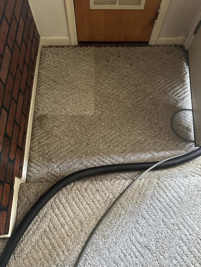 Carpet cleaning hoses laid across a patterned carpet, indicating work in progress by Triple B Carpet Cleaning in Roseville, MI.