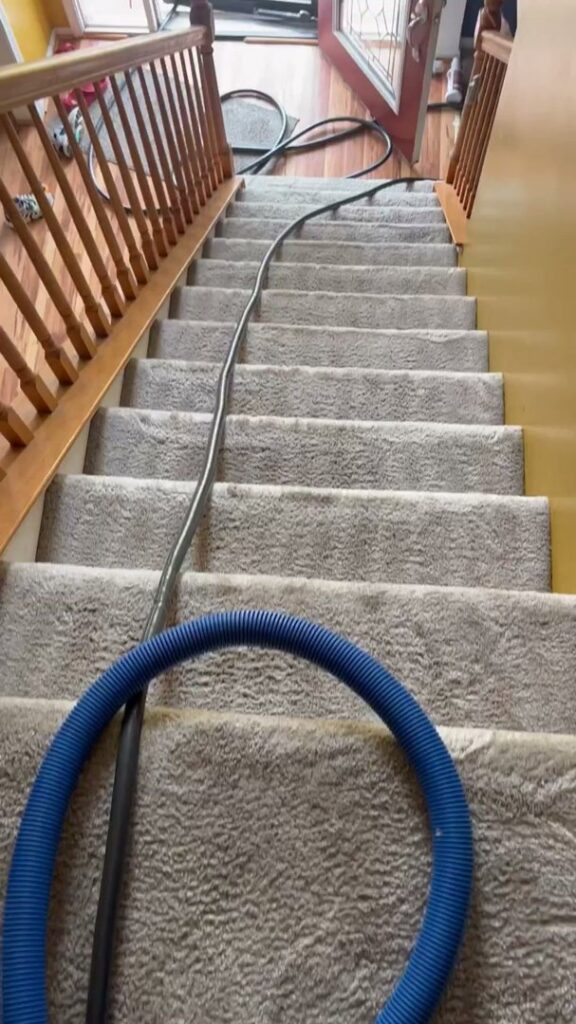 Carpet cleaning hoses extending up a staircase, ready for service by Dry Green Cleaning in Detroit, MI.