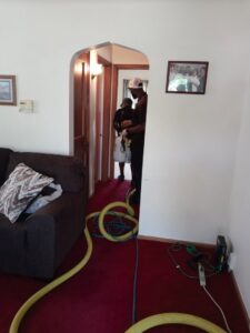 Carpet cleaning hoses and technicians working on a red carpet in a hallway by Legendary Carpet Care+ in Toledo, OH.