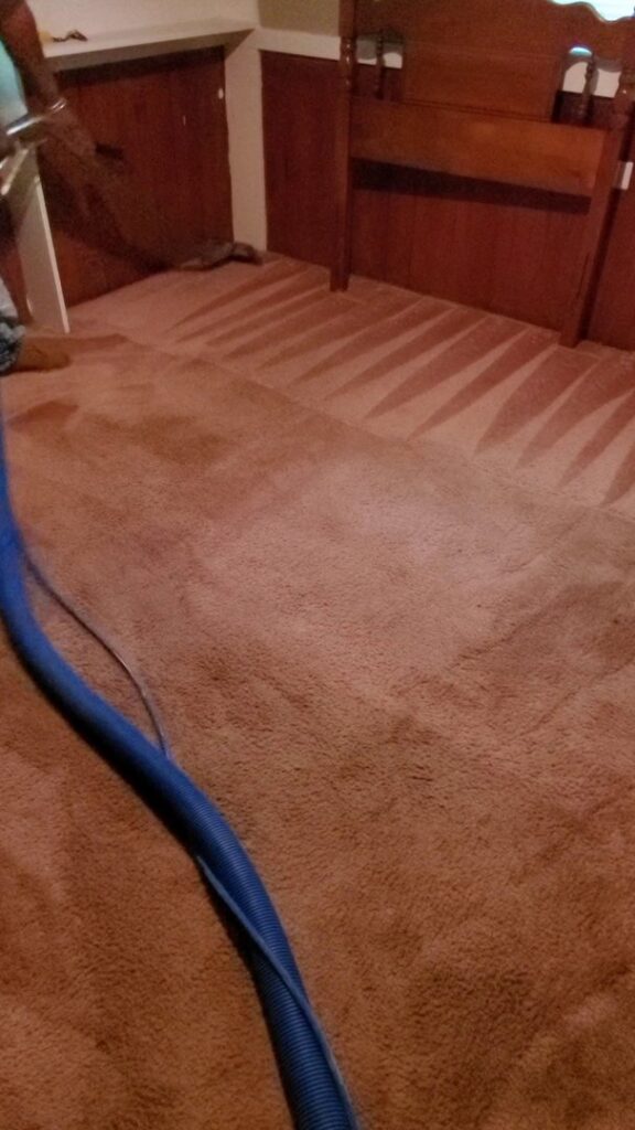 A professional cleaning a brown bedroom carpet, showing distinct cleaning lines, by Spot On Carpet Cleaning of Columbia, SC.