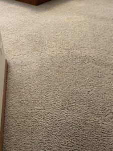 A cleaning hose on a carpeted floor, showing a clean strip, during an in-home carpet cleaning by Zerorez ChicagoLand in Naperville, IL.