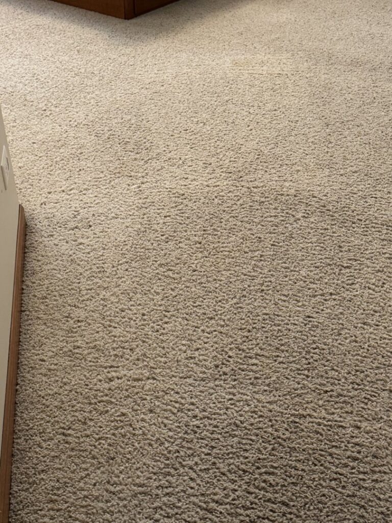 A cleaning hose on a carpeted floor, showing a clean strip, during an in-home carpet cleaning by Zerorez ChicagoLand in Naperville, IL.