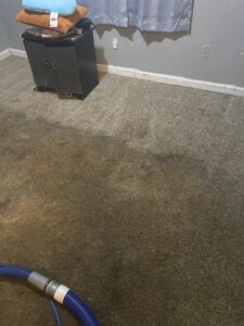 Carpet cleaning in progress showing a clean and dirty section by Action Carpet Cleaning & Restoration in Norman, OK