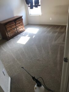A bedroom carpet being cleaned, showing distinct cleaning lines and a spray applicator, by Tex A Clean Carpet Care in League City, TX.