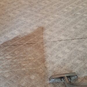 Carpet cleaning in progress showing a clear before and after line by American Steam in Suffolk, VA.