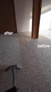 Carpet cleaning in progress, showing a clear before and after section with a cleaning tool by B&L Steam Clean & Water Extraction LLC in Columbia, MO