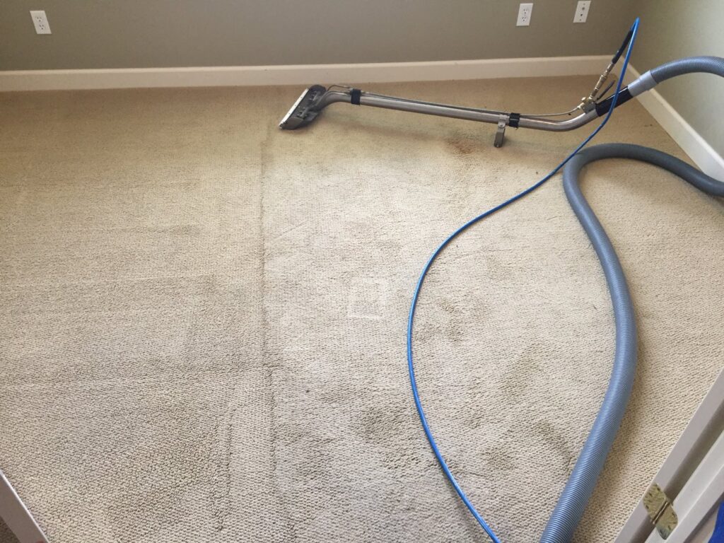 Carpet cleaning in progress, showing a clear line between cleaned and uncleaned areas by C&C Carpet Care LLC in Columbia, MO.