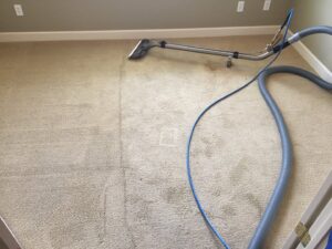 Carpet cleaning in progress, showing a clear line between cleaned and uncleaned areas by C&C Carpet Care LLC in Columbia, MO.