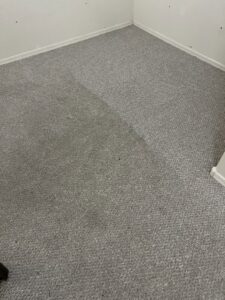 A carpet showing a dirty section next to a clean section, indicating a cleaning job by Healthy Living Carpet & Tile Cleaning in Peoria, AZ.