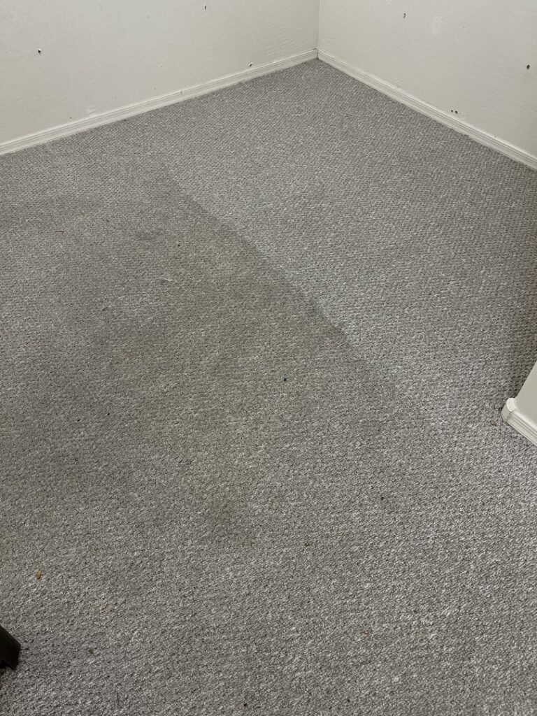 A carpet showing a dirty section next to a clean section, indicating a cleaning job by Healthy Living Carpet & Tile Cleaning in Peoria, AZ.