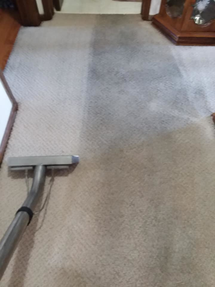 Carpet cleaning in progress, showing before and after results by JR Professional Carpet Cleaning Business LLC in Spokane, WA.