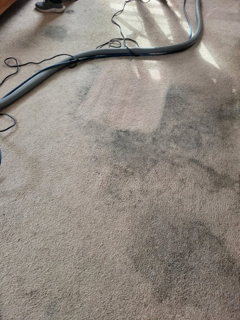 Carpet cleaning in progress, showing a clear before and after section on a light-colored carpet by KANDE Carpet Cleaning in Pittsburgh, PA.