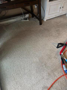 Carpet cleaning in progress, showing a clean section next to a dirty section, by Red River Carpet Cleaning of Fargo Moorhead, MN