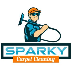 A carpet showing a clear difference between dirty and cleaned sections, demonstrating carpet cleaning in progress by Sparky Carpet Cleaning in Baton Rouge, LA.