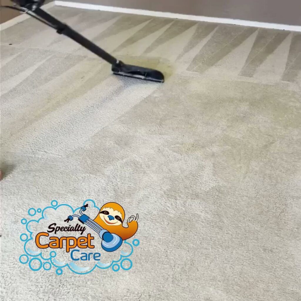 A carpet cleaning wand in action, showing a clear before-and-after difference on a light carpet by Specialty Carpet Care in Surprise, AZ