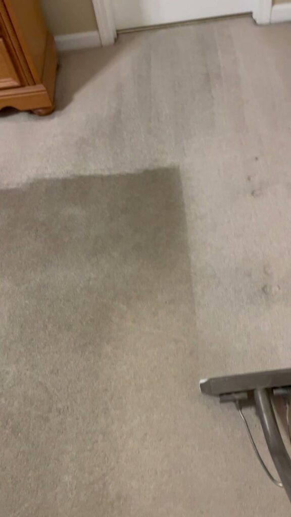 A carpet cleaning in progress, showing a distinct clean path next to a dirty area by Steamworks Carpet and Upholstery Cleaners in Matthews, NC.