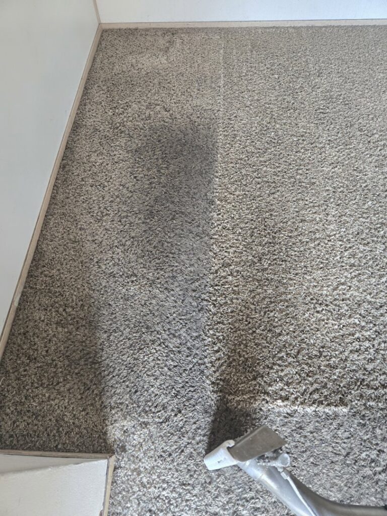 A carpet cleaning wand in action, showing a clean strip next to a dirty area by Blue Rain Carpet Care LLC in Vancouver, WA.