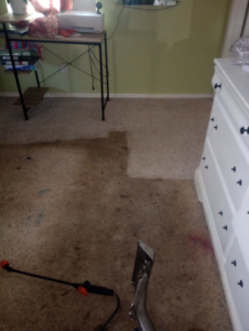 Carpet cleaning in progress, showing a clean strip next to a dirty area by C&S Carpet Cleaning in Cyril, OK.