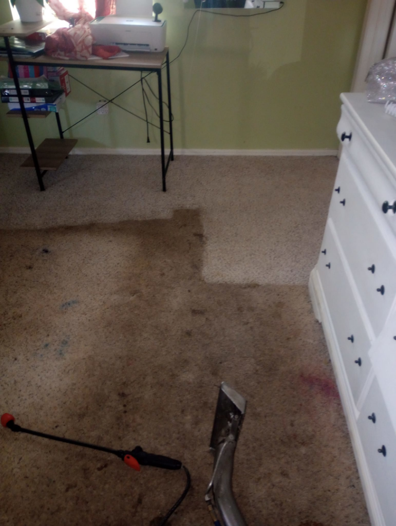 Carpet cleaning in progress, showing a clean strip next to a dirty area by C&S Carpet Cleaning in Cyril, OK.