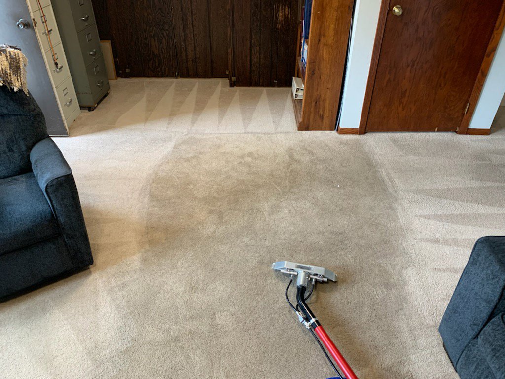 A professional using a carpet cleaning wand, showing clean and dirty sections, by Carpet Cleaning Pros LLC in Eau Claire, WI.