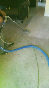 A professional carpet cleaning job in progress using specialized equipment by Chichi Carpet Cleaning in High Point, NC