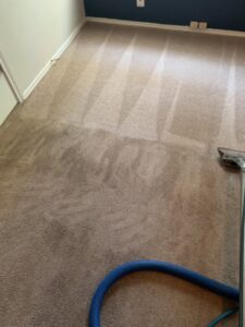 Carpet cleaning in progress, showing clean lines on a beige carpet by City Carpet Cleaners 1 in Houston, TX