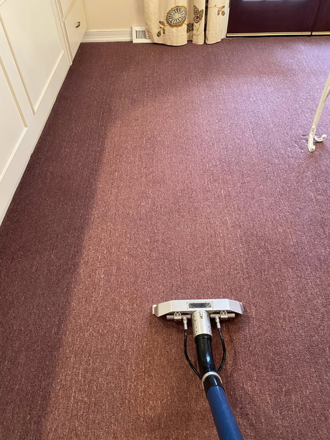 A carpet cleaning tool in action, showing a clean path on a purple carpet by CityWide Carpet & Upholstery Care in Pittsburgh, PA.