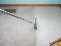 Carpet cleaning in progress, showing a clean strip on the floor by Dressler's Carpet and Upholstery Cleaning in Schenectady, NY