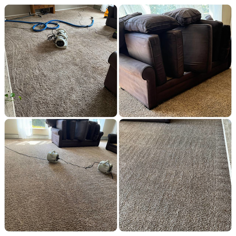 Carpet cleaning in progress with professional equipment and moved furniture by Alex & Mary Carpet & Upholstery Cleaning in Tacoma, WA.