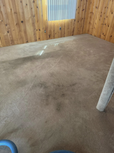 Carpet cleaning in progress with equipment visible by True Clean of Virginia, LLC in Richmond, VA