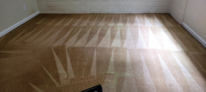 Carpet cleaning in progress, showing fresh cleaning lines and equipment from Extreme Carpet Cleaning Atlanta, GA.